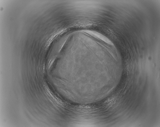 X0000057090640200509231651