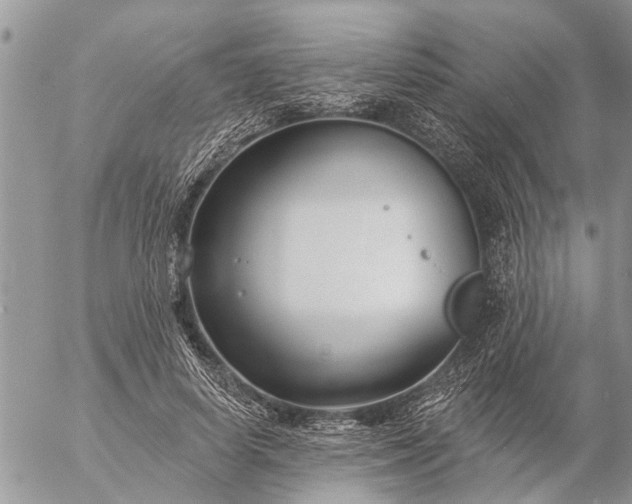 X0000057090642200509231651