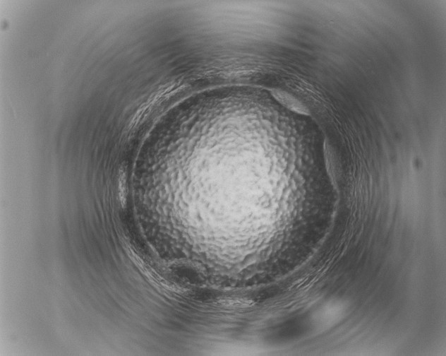 X0000057090644200509231651