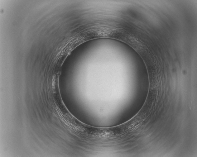 X0000057090646200509231651