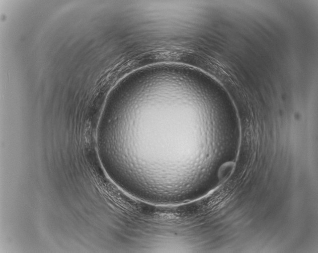 X0000057090649200509231651