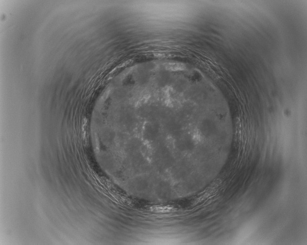 X0000057090650200509231651