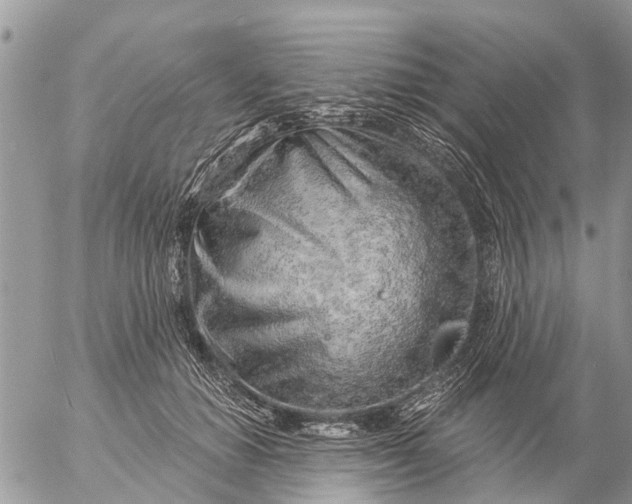 X0000057090654200509231651