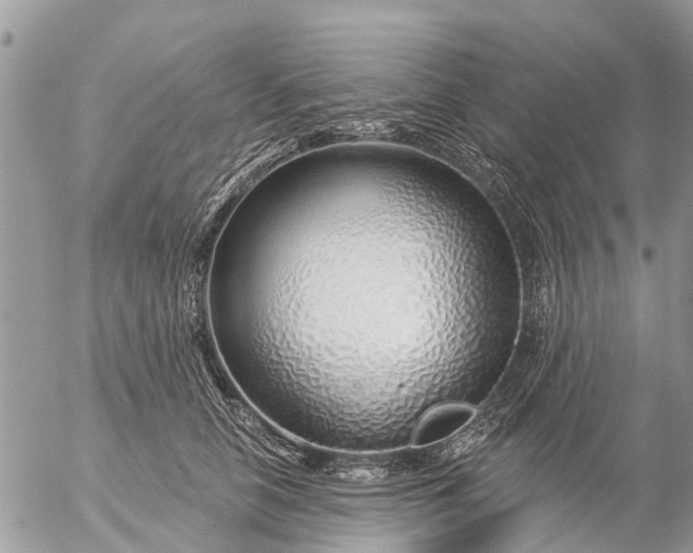 X0000057090658200509231651