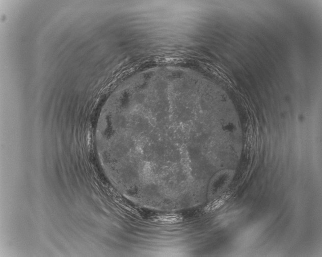 X0000057090659200509231651