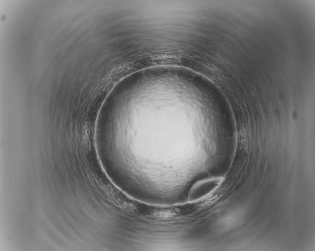 X0000057090662200509231651