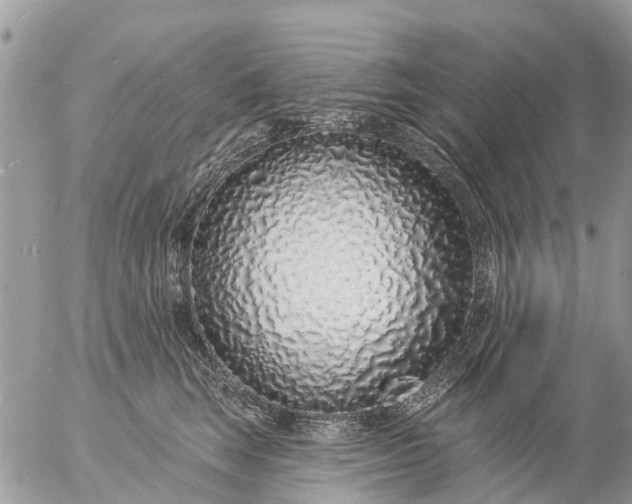 X0000057090663200509231651