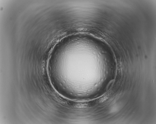 X0000057090664200509231651