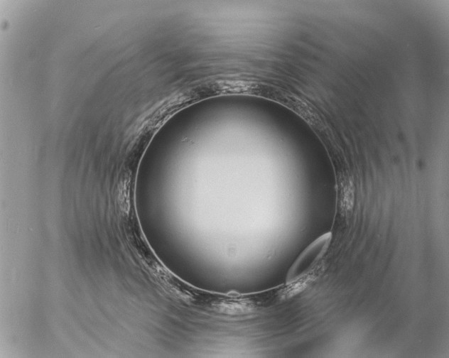 X0000057090666200509231651