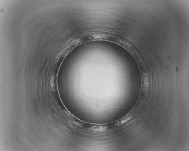 X0000057090667200509231651