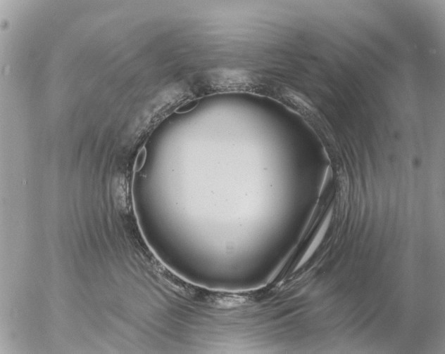 X0000057090669200509231651