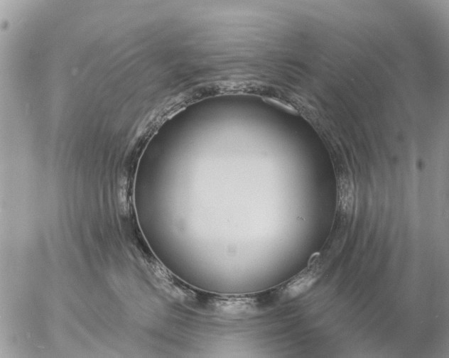 X0000057090670200509231651