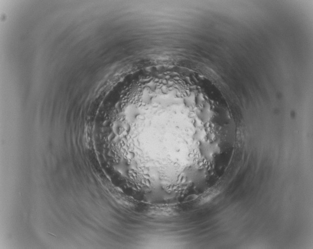 X0000057090671200509231651