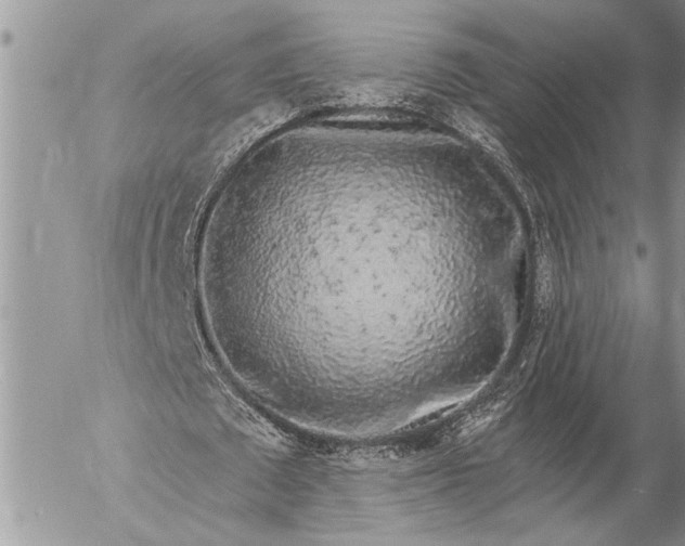 X0000057090673200509231650