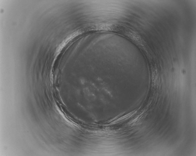 X0000057090674200509231650