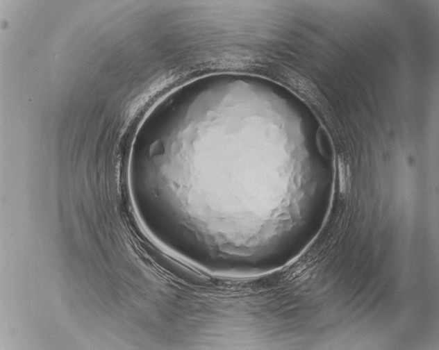 X0000057090675200509231650