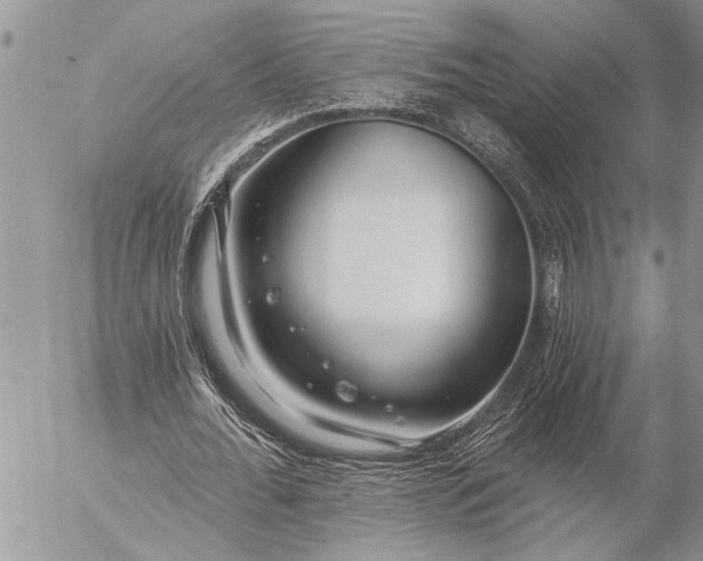 X0000057090676200509231650