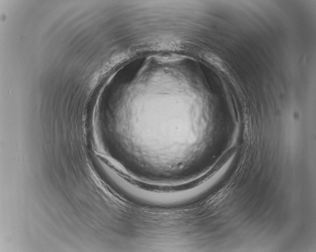 X0000057090677200509231650