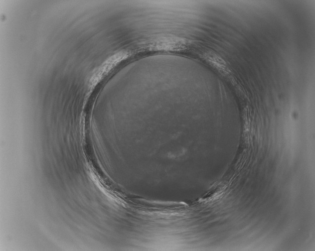 X0000057090678200509231650