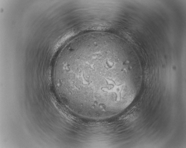 X0000057090679200509231650