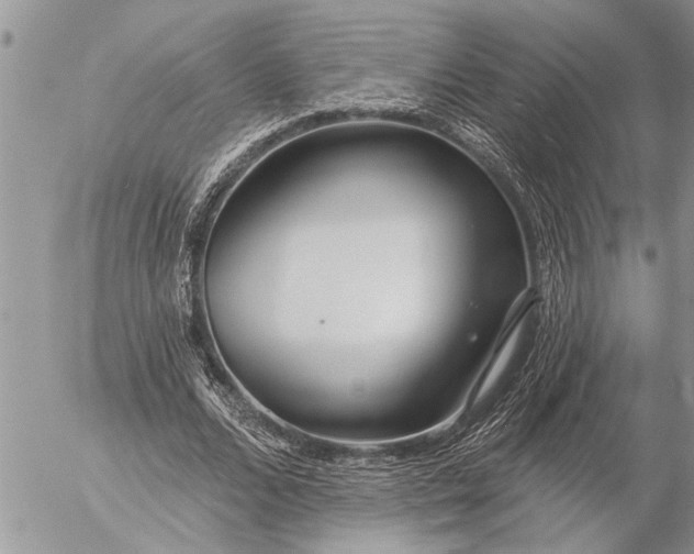 X0000057090680200509231650