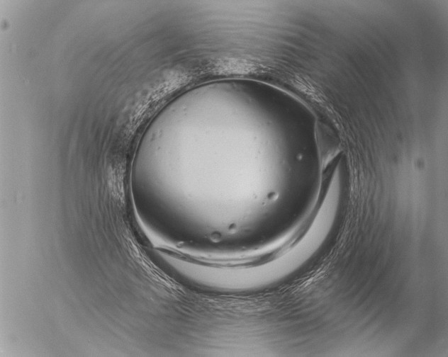 X0000057090681200509231650