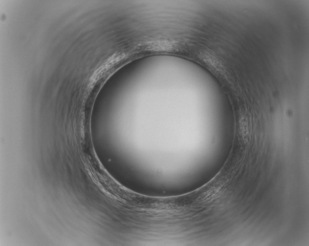 X0000057090682200509231650