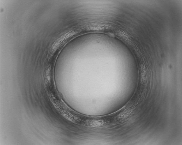 X0000057090683200509231650