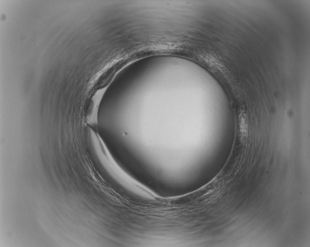 X0000057090684200509231650