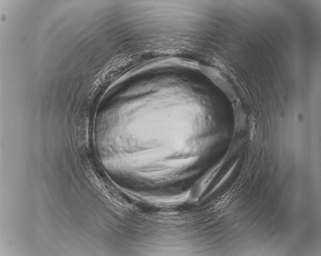 X0000057090685200509231650