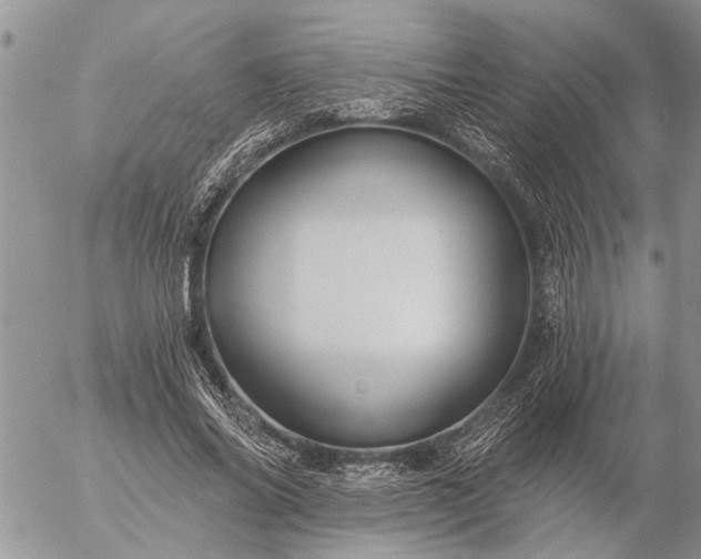 X0000057090686200509231650