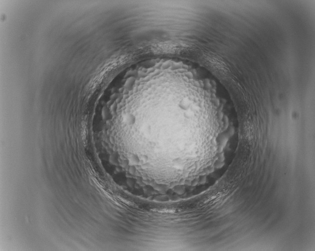 X0000057090687200509231650