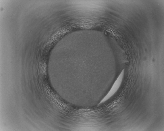 X0000057090689200509231650