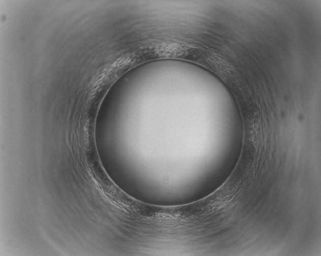 X0000057090690200509231650