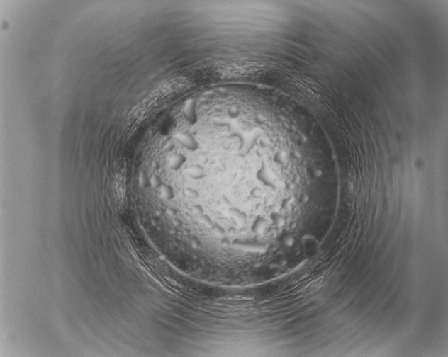 X0000057090691200509231650