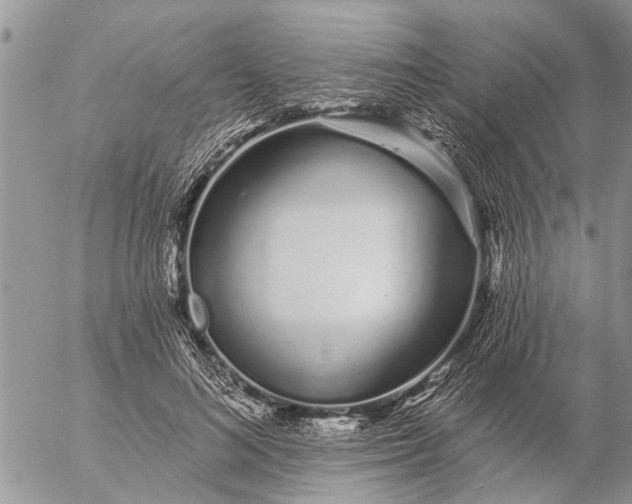 X0000057090692200509231650