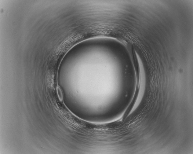 X0000057090693200509231650