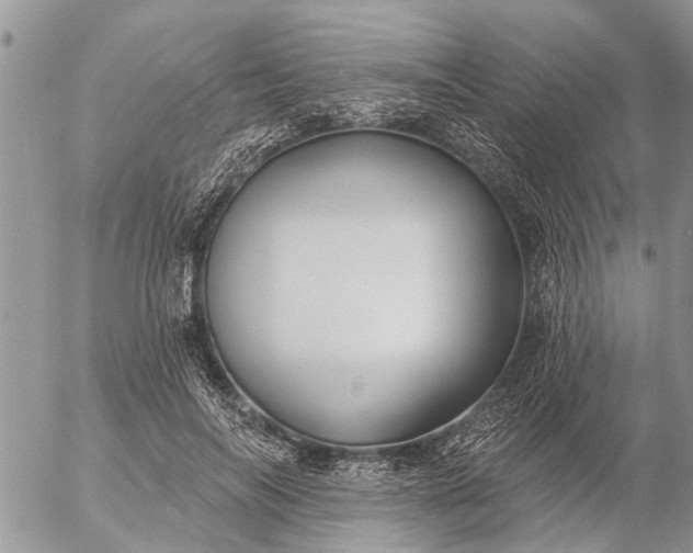 X0000057090694200509231650