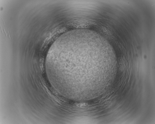 X0000057090695200509231650