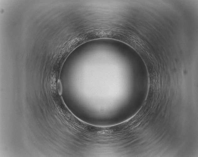 X0000057090700200509231650