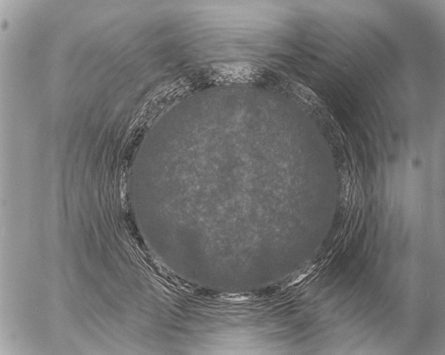 X0000057090701200509231650