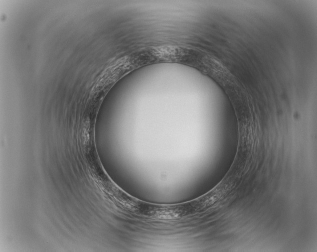 X0000057090702200509231650