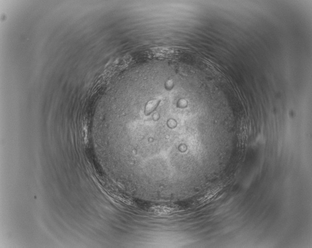 X0000057090703200509231650