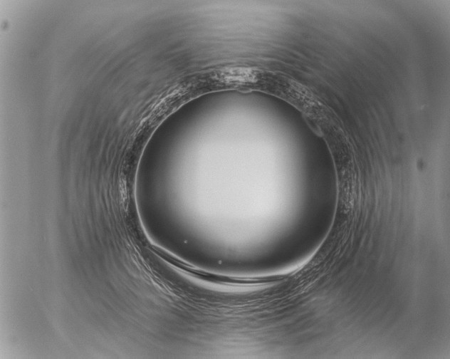 X0000057090704200509231650