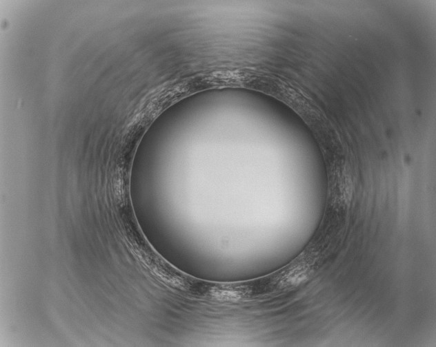 X0000057090706200509231650