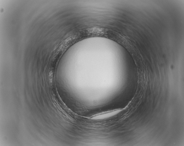 X0000057090708200509231650