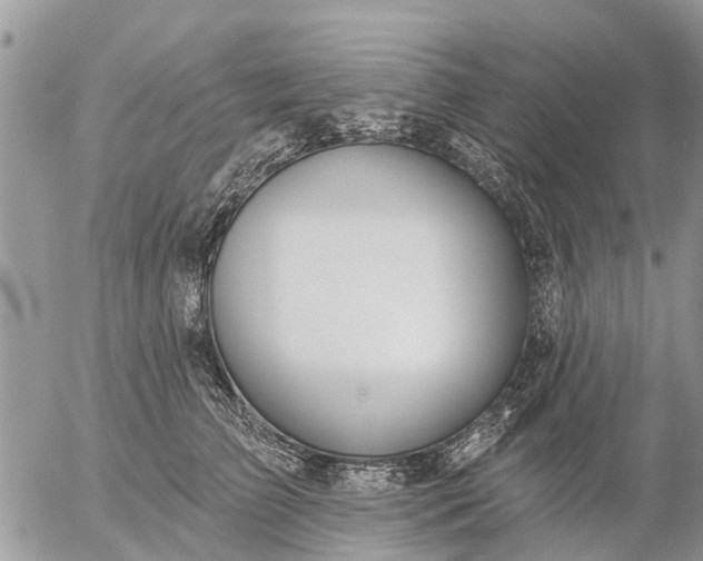 X0000057090709200509231650