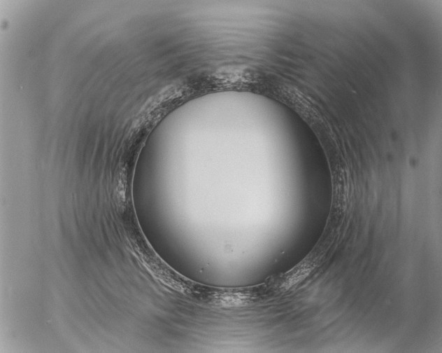 X0000057090710200509231650