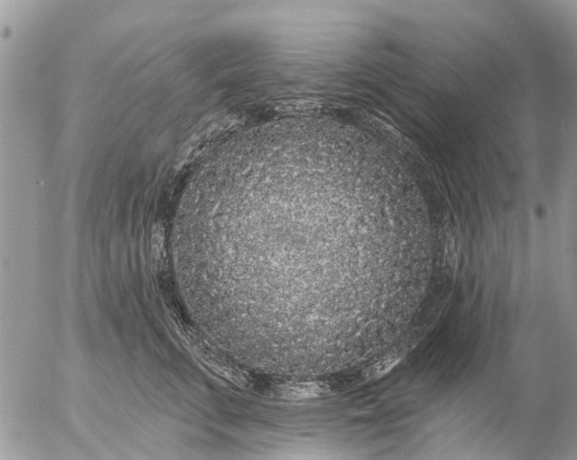 X0000057090711200509231650