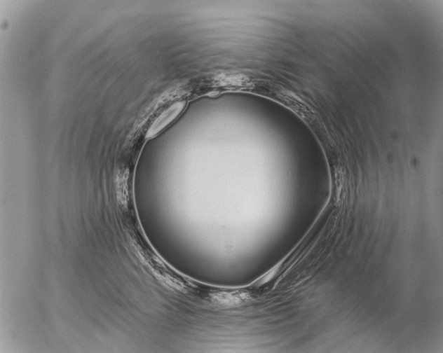 X0000057090712200509231650